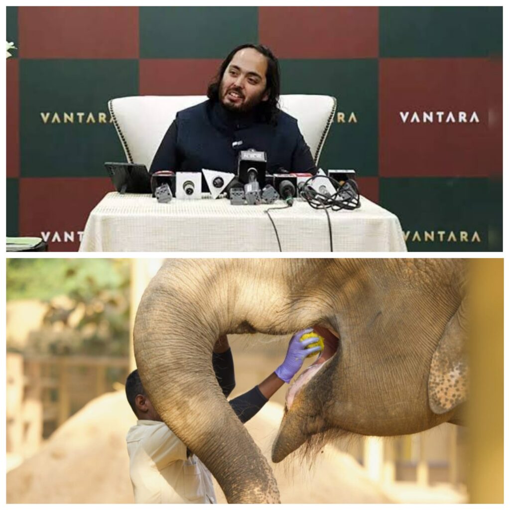 Anant Ambani Rescued Over 2000 Animals Including Tigers and Elephants Inside Vantara