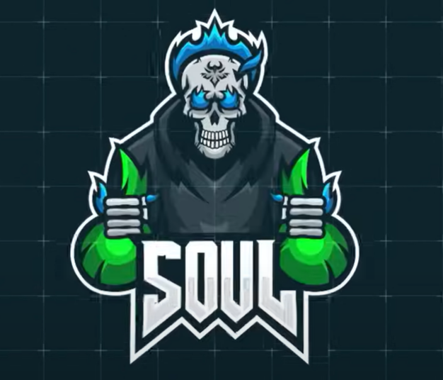 The Soul of Indian Gaming Community: A Deep Dive into Team Soul's Legacy